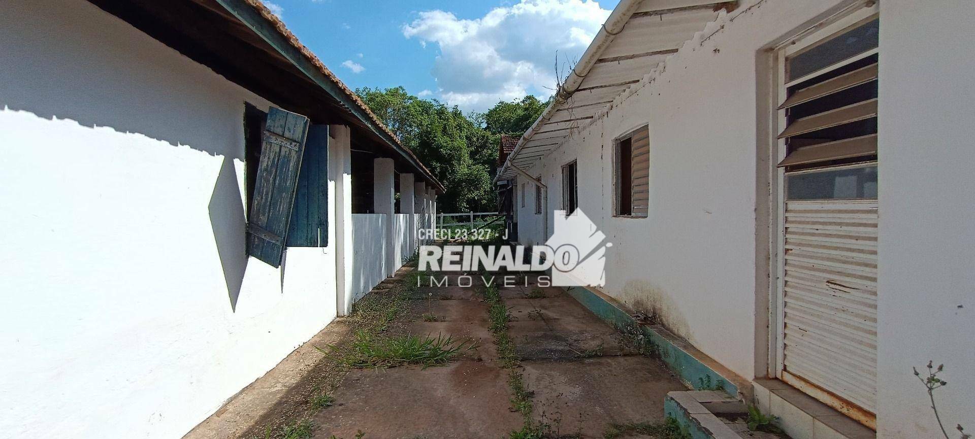 Haras e Área Rural Padrão à venda com 16 quartos, 2500m² - Foto 175