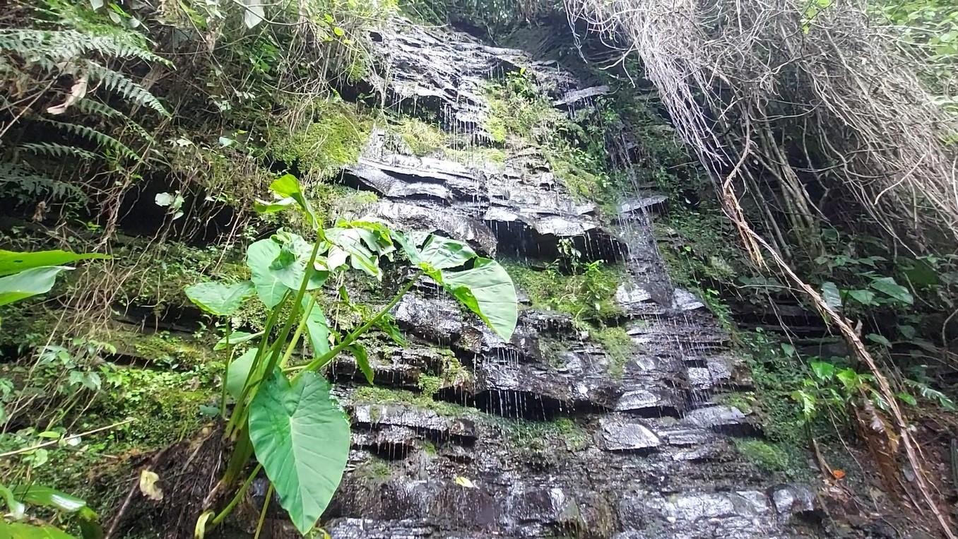 Fazenda à venda com 8 quartos, 120000m² - Foto 44