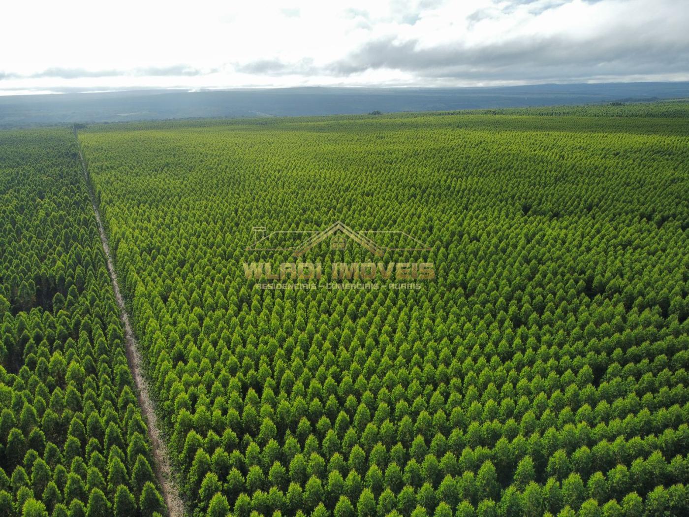 Fazenda à venda, 15764m² - Foto 1