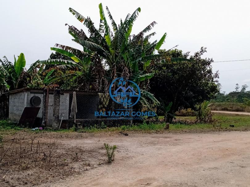 Fazenda à venda com 3 quartos, 35m² - Foto 6