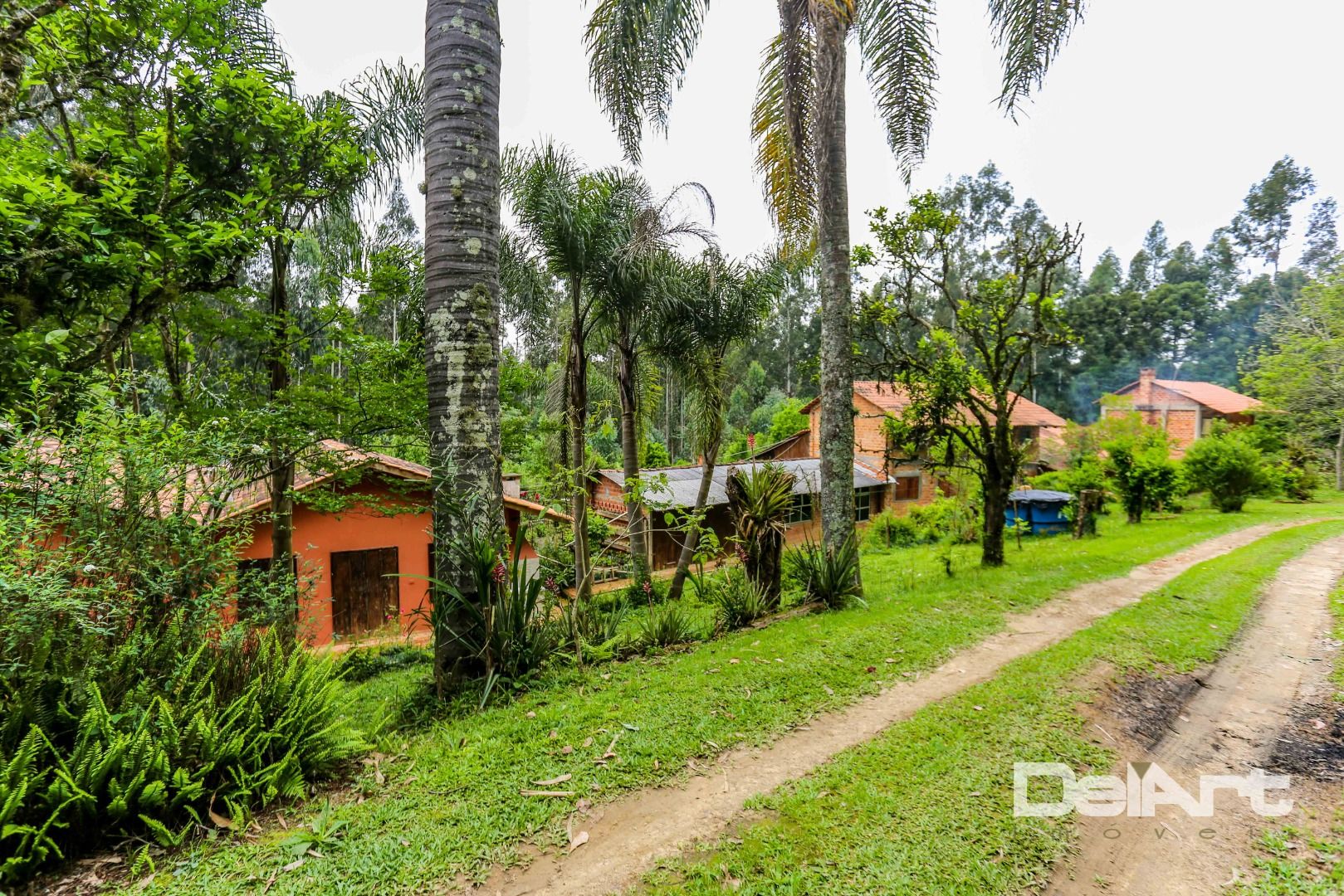 Chácara à venda com 7 quartos, 36600M2 - Foto 62