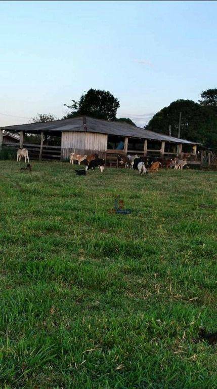 Sítio à venda com 1 quarto, 653400M2 - Foto 3