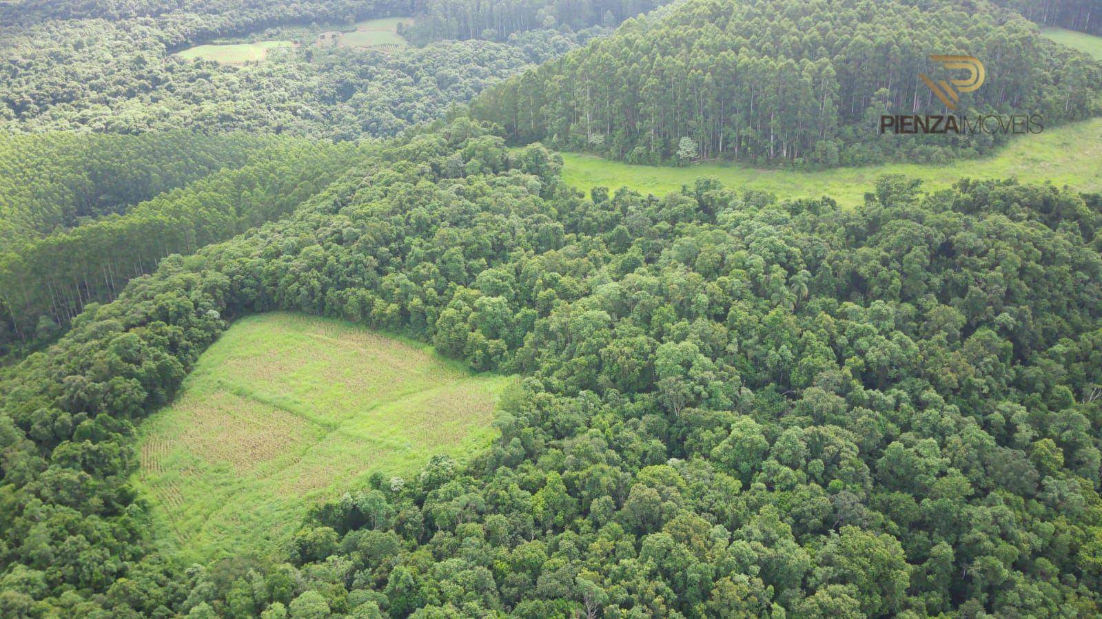 Terreno à venda, 193600M2 - Foto 6