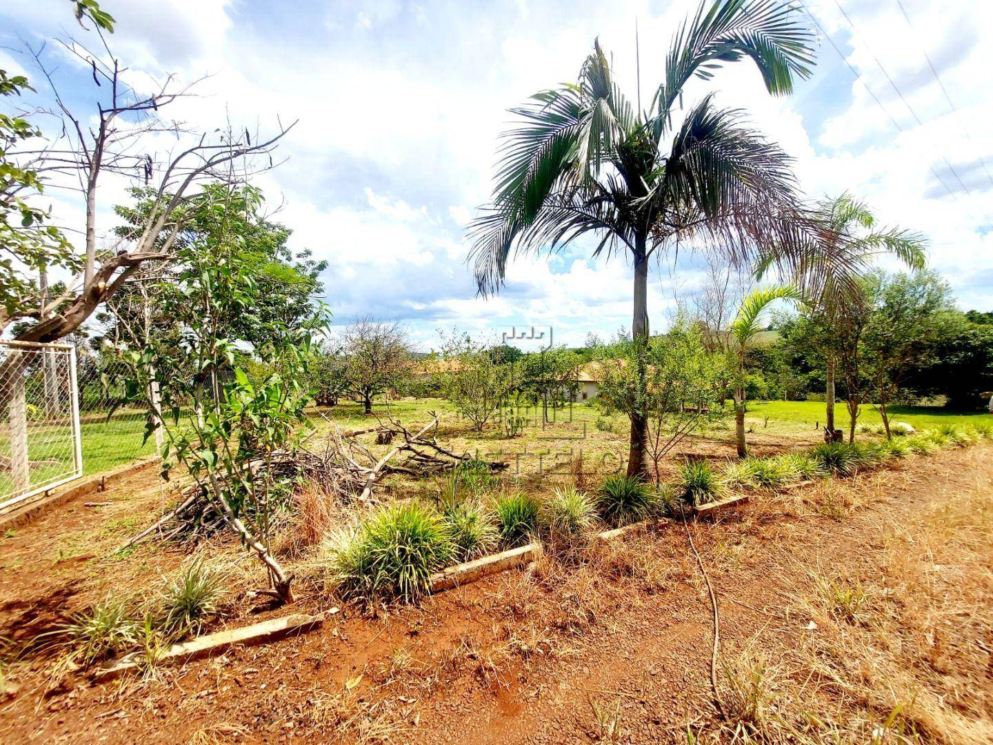 Chácara, 2 quartos, 67 hectares - Foto 4