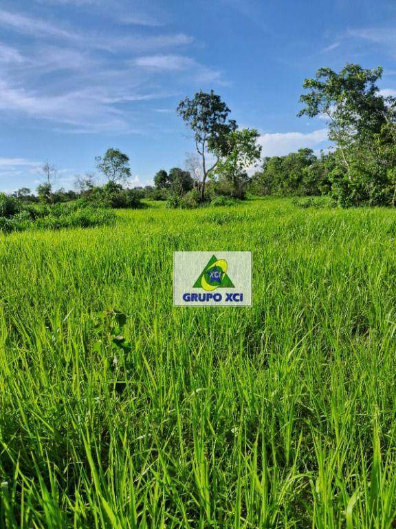 Fazenda à venda, 9970400M2 - Foto 42