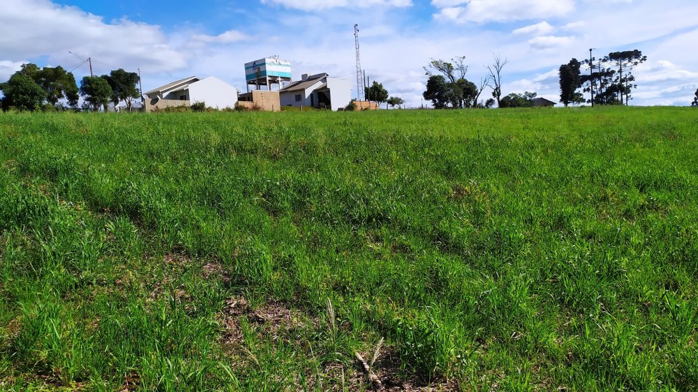 Fazenda à venda com 1 quarto, 24000m² - Foto 10