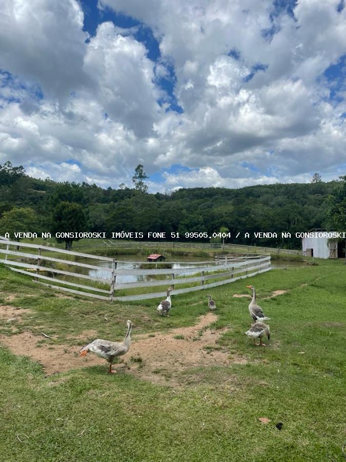 Chácara à venda com 4 quartos, 130000m² - Foto 38