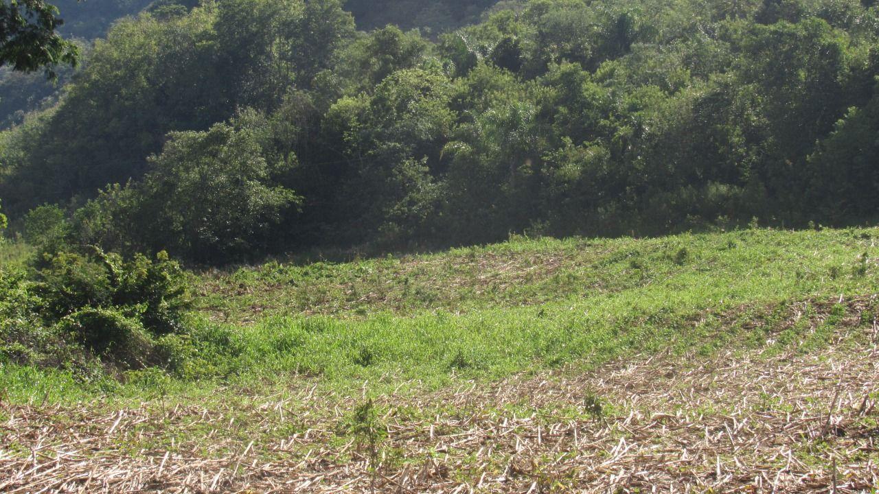 Loteamento e Condomínio à venda, 199000m² - Foto 11