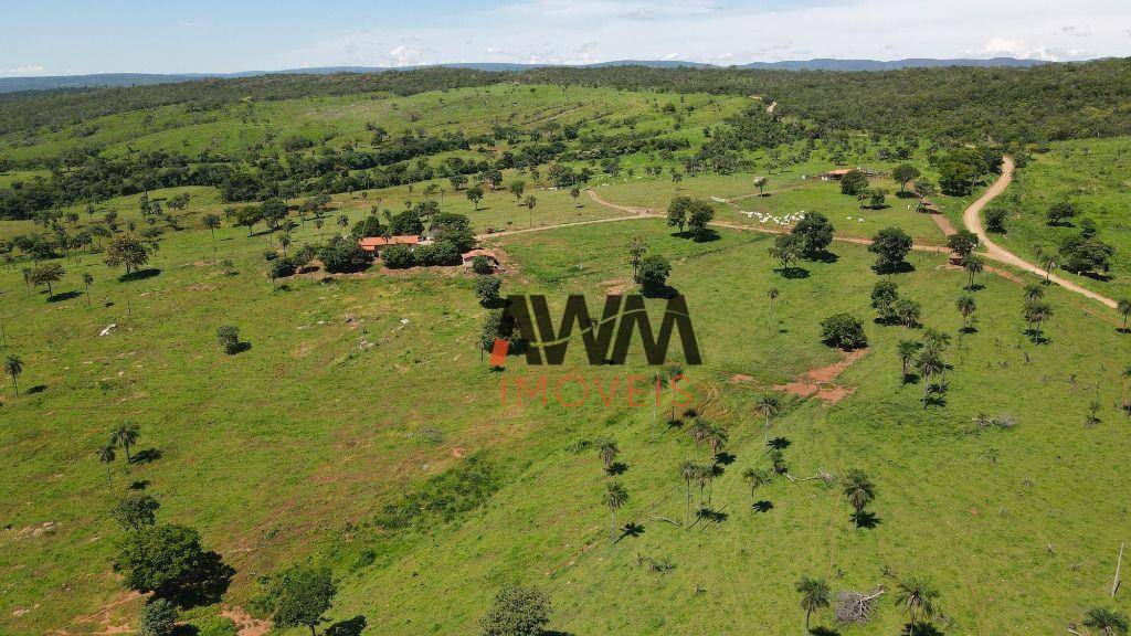 Fazenda, 823 hectares - Foto 17