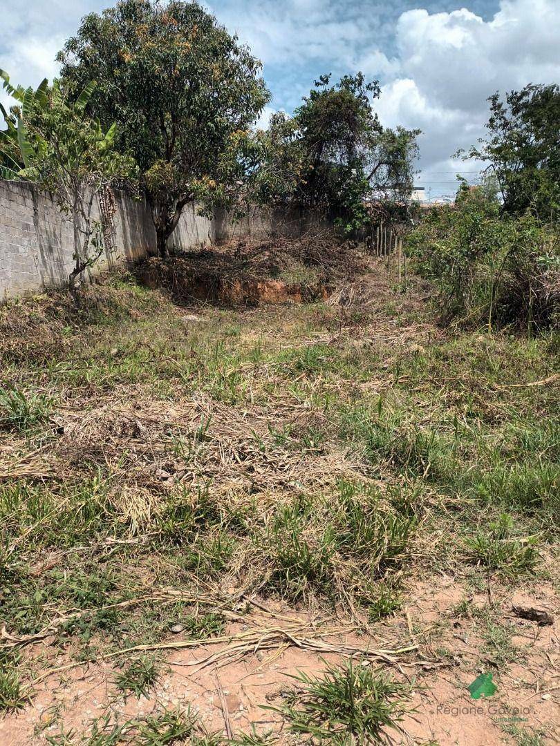 Terreno à venda, 360M2 - Foto 4