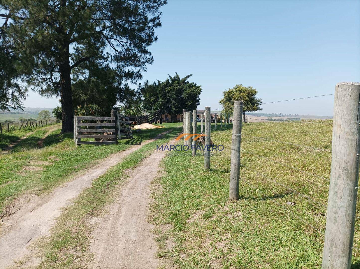 Sítio à venda, 181500M2 - Foto 5