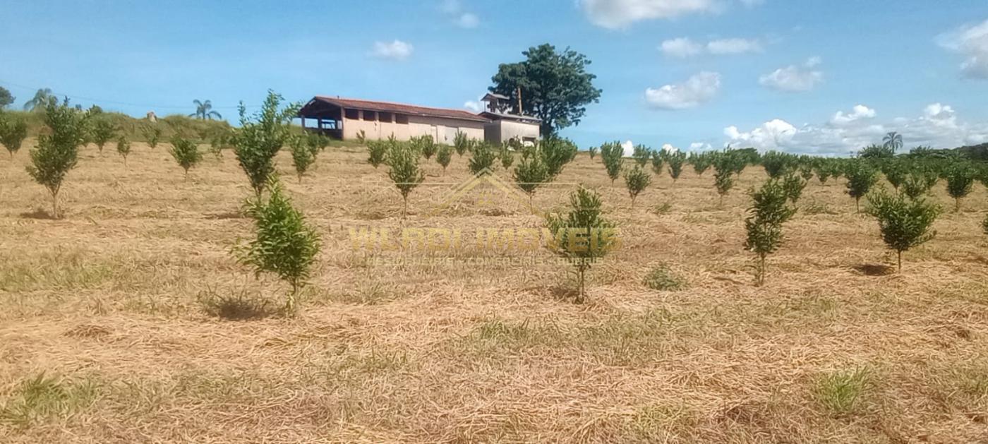 Fazenda à venda, 27m² - Foto 30