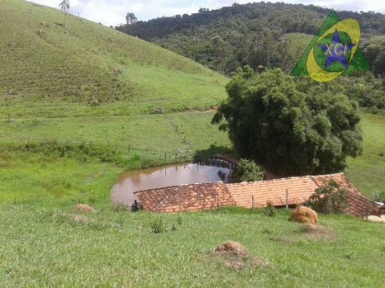 Fazenda à venda, 240000M2 - Foto 5