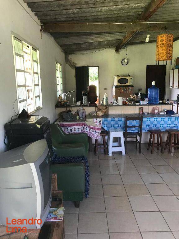 Terreno, 4 hectares - Foto 8