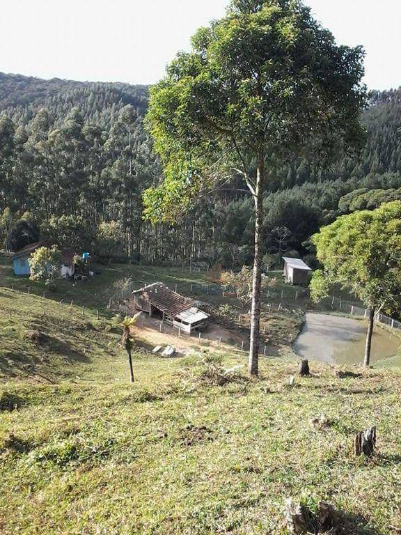 Sítio, 16 hectares - Foto 3