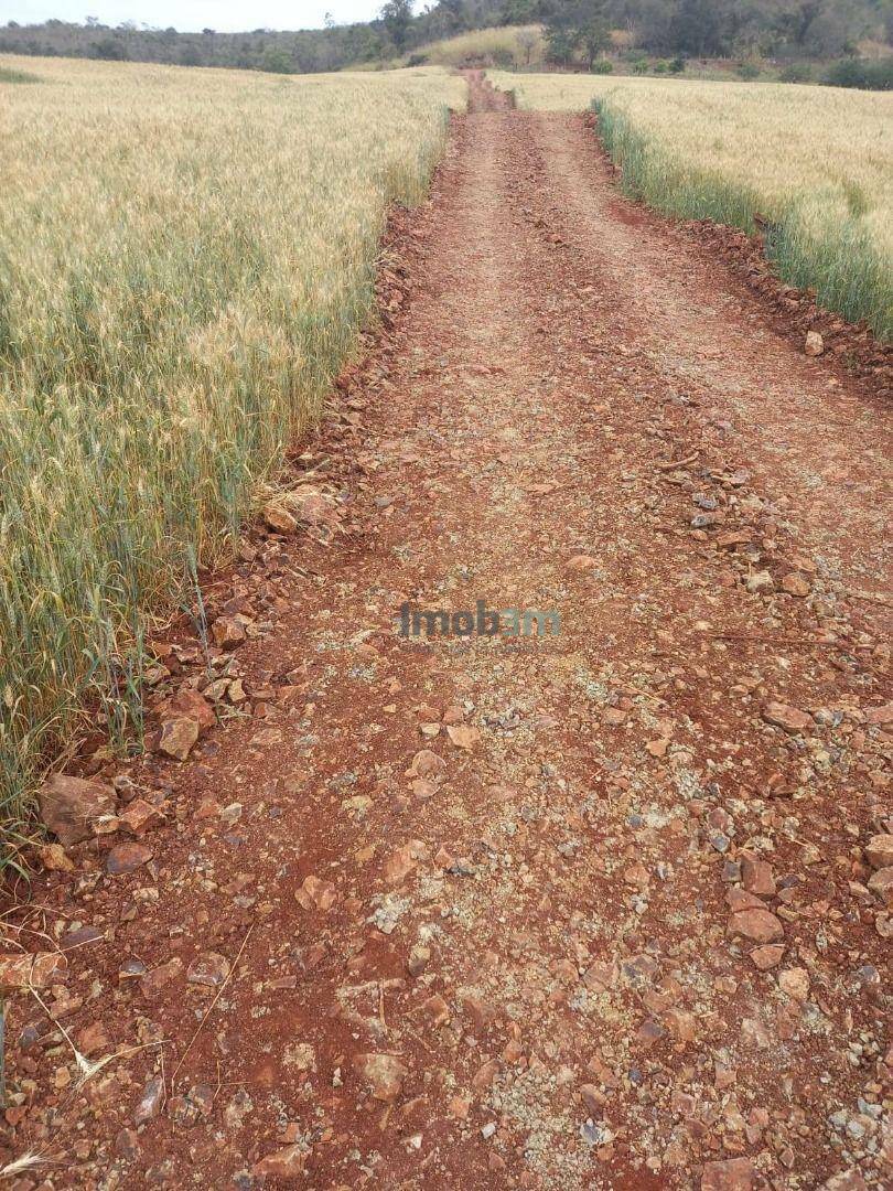 Terreno à venda, 1000M2 - Foto 8