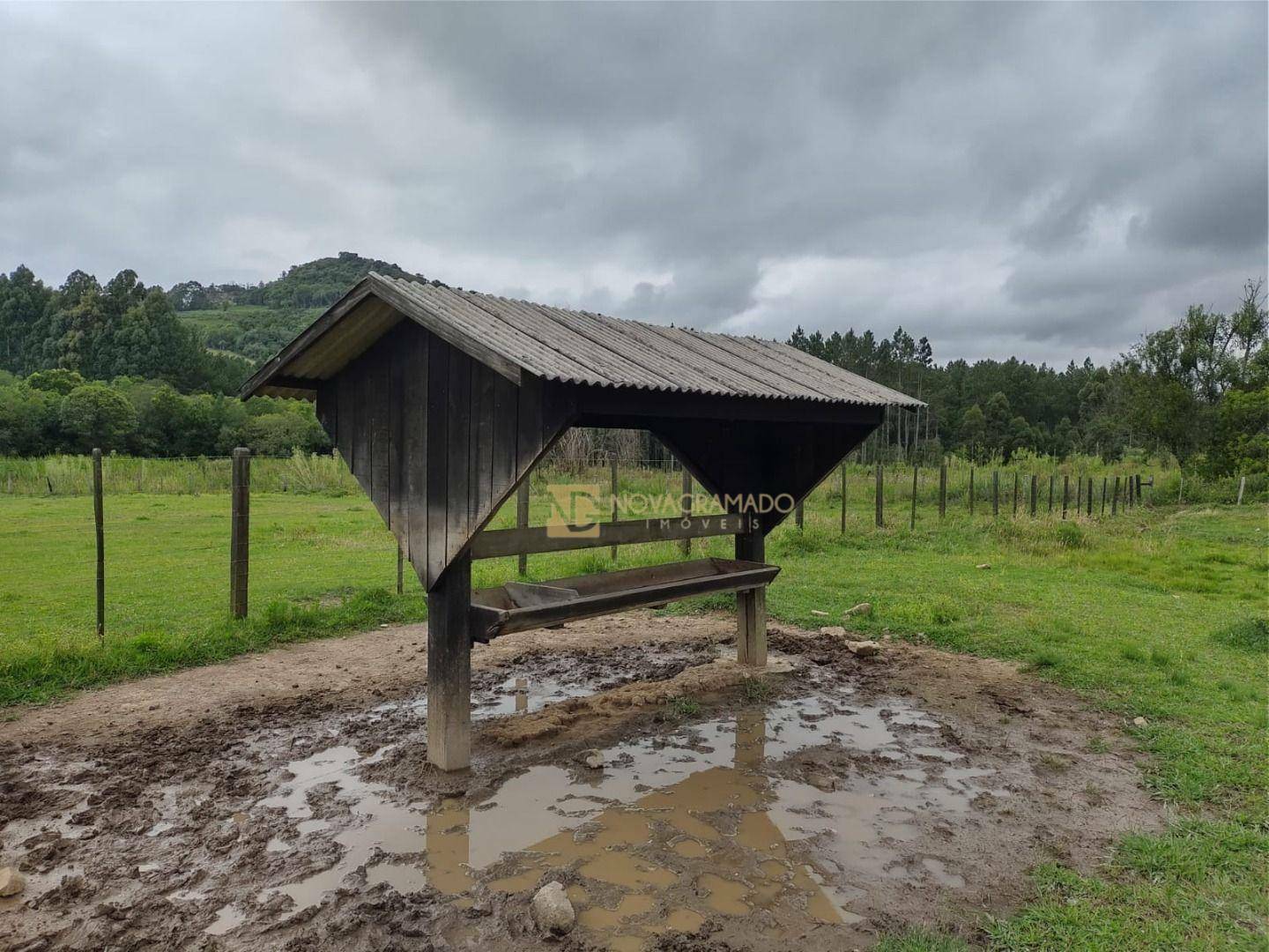 Sítio, 3 quartos, 4 hectares - Foto 30