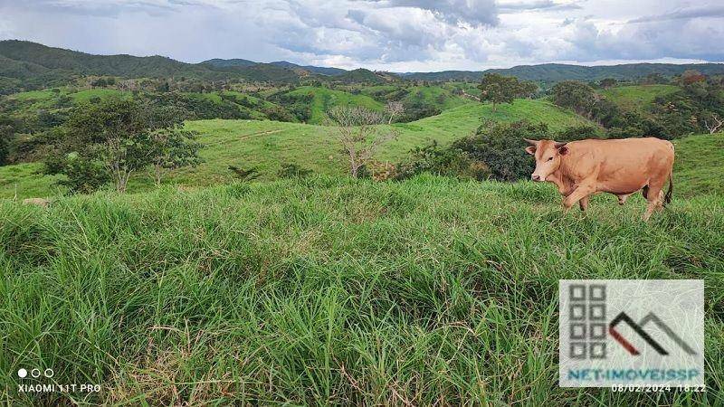 Fazenda à venda, 500m² - Foto 19