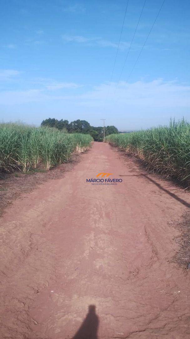 Sítio, 61 hectares - Foto 5