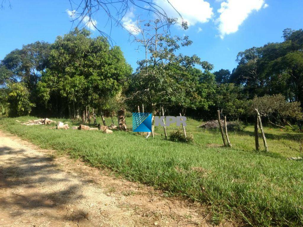 Chácara, 9 quartos, 4 hectares - Foto 7