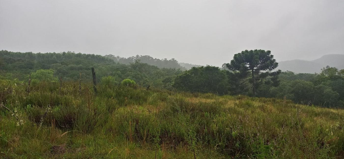 Loteamento e Condomínio à venda com 3 quartos, 70000m² - Foto 10