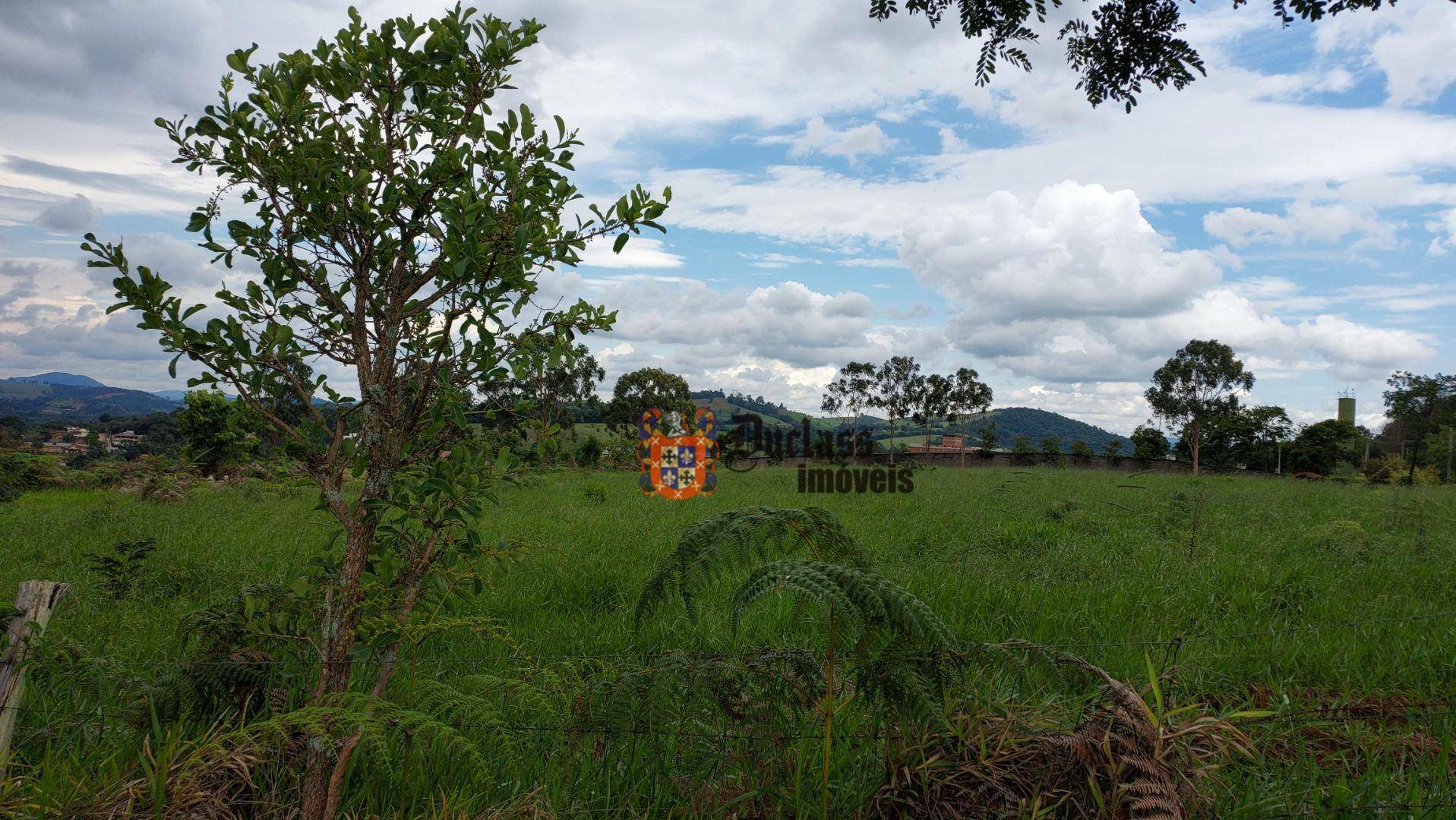 Terreno à venda, 60000M2 - Foto 12