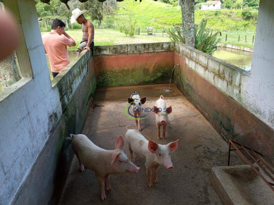 Fazenda à venda com 2 quartos, 1355200M2 - Foto 15