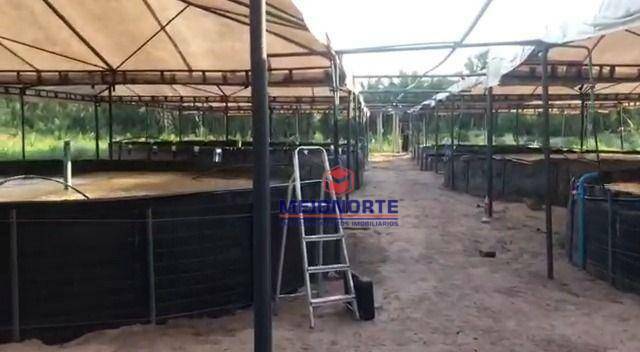 Fazenda à venda com 2 quartos, 300000M2 - Foto 21