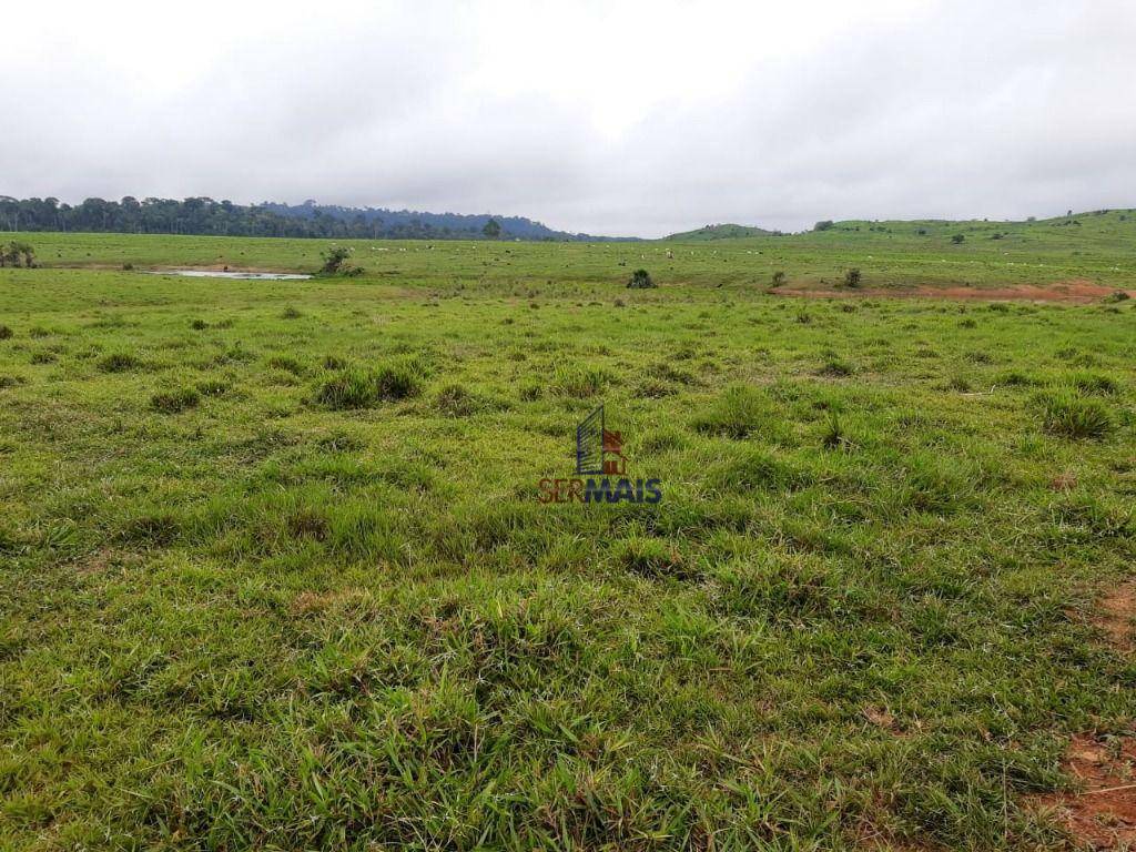 Fazenda-Sítio-Chácara, 3194 hectares - Foto 1