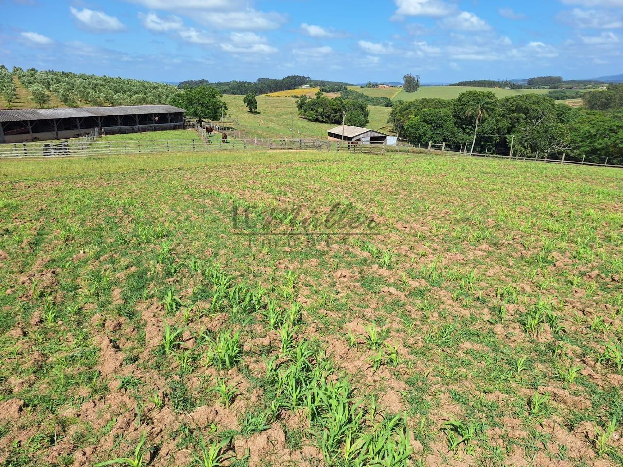 Fazenda à venda, 59m² - Foto 12