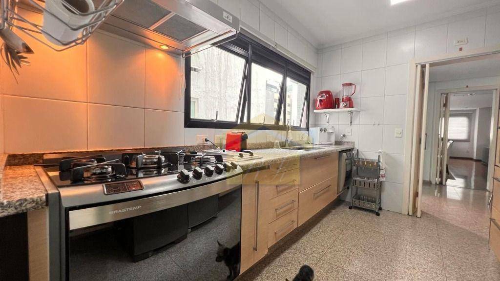 Apartamento à venda e aluguel com 4 quartos, 234m² - Foto 20