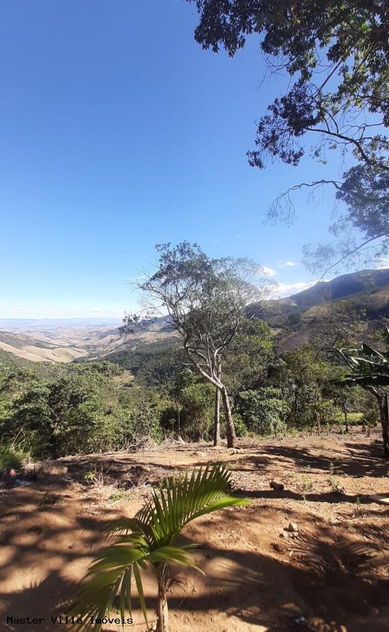 Fazenda à venda com 1 quarto, 6000m² - Foto 1