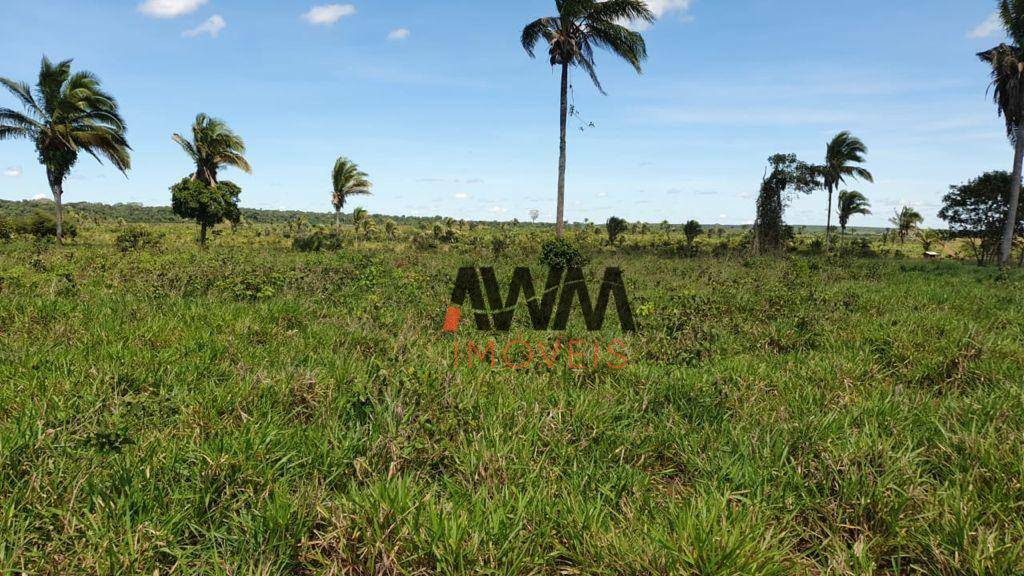 Fazenda à venda, 87120000M2 - Foto 4