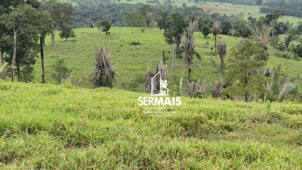 Fazenda, 280 hectares - Foto 4