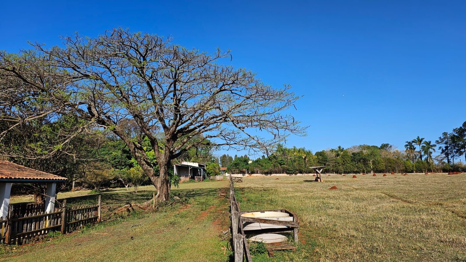 Haras e Área Rural Padrão à venda com 3 quartos, 96800M2 - Foto 1