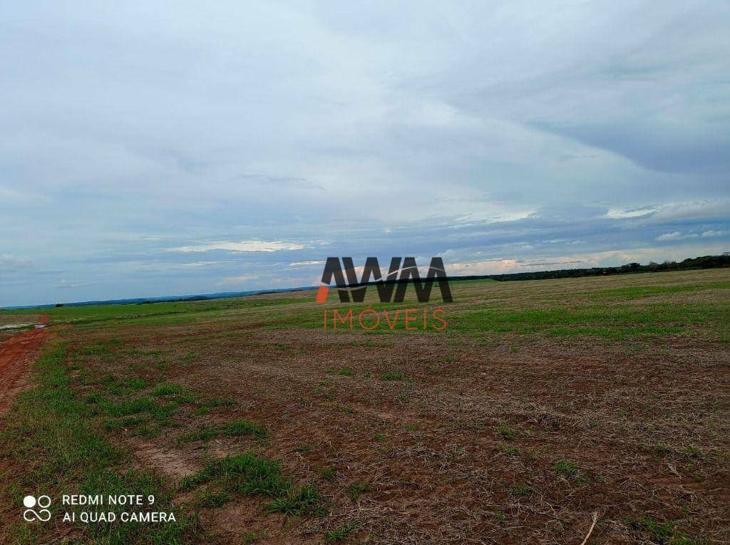 Fazenda à venda, 30008000M2 - Foto 6