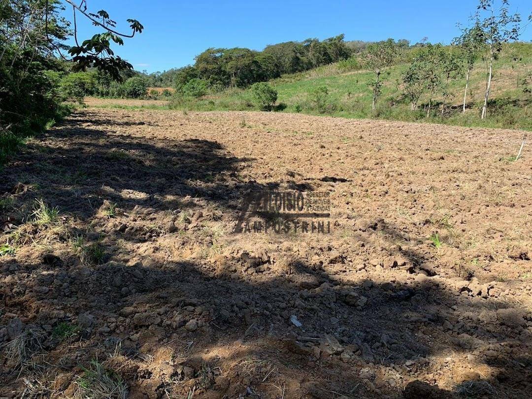 Fazenda à venda, 2420000M2 - Foto 7