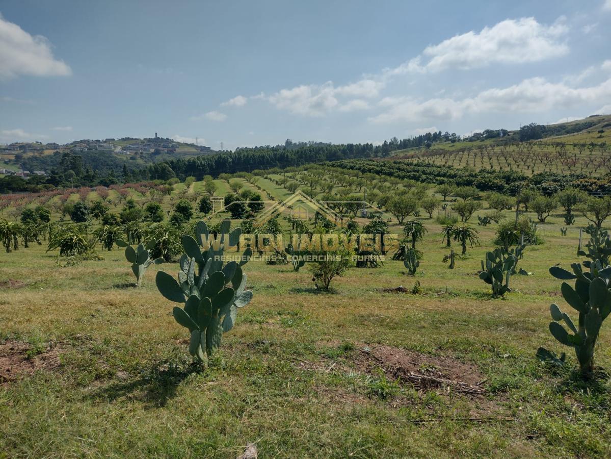 Fazenda-Sítio-Chácara, 5 m² - Foto 2