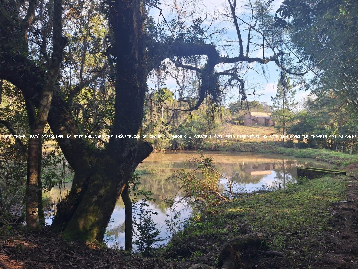 Sítio à venda, 80000m² - Foto 31