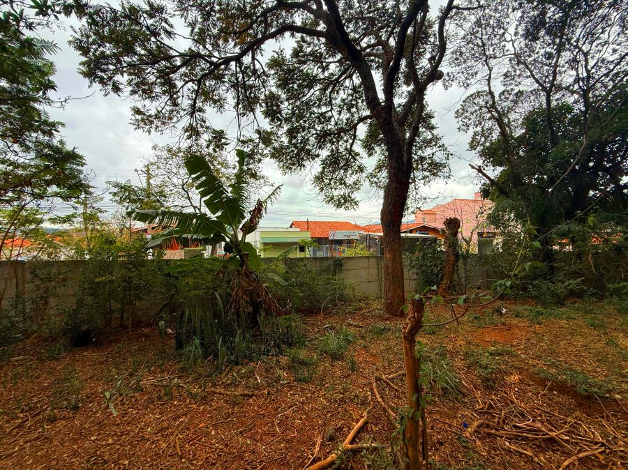 Terreno à venda, 340m² - Foto 30