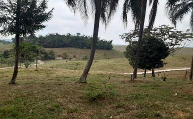 Sítio à venda com 3 quartos, 87000m² - Foto 20