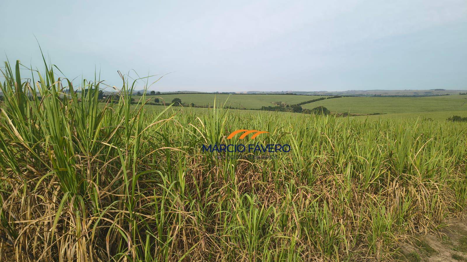 Fazenda, 137 hectares - Foto 1
