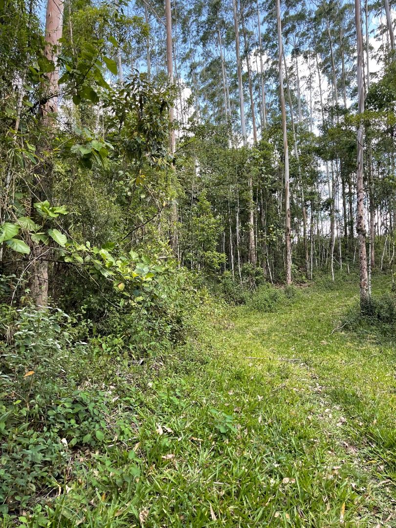 Terreno à venda, 55000M2 - Foto 2