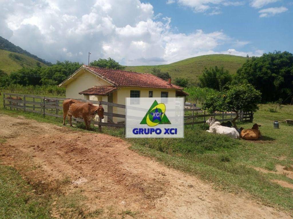 Fazenda à venda, 1060000M2 - Foto 1