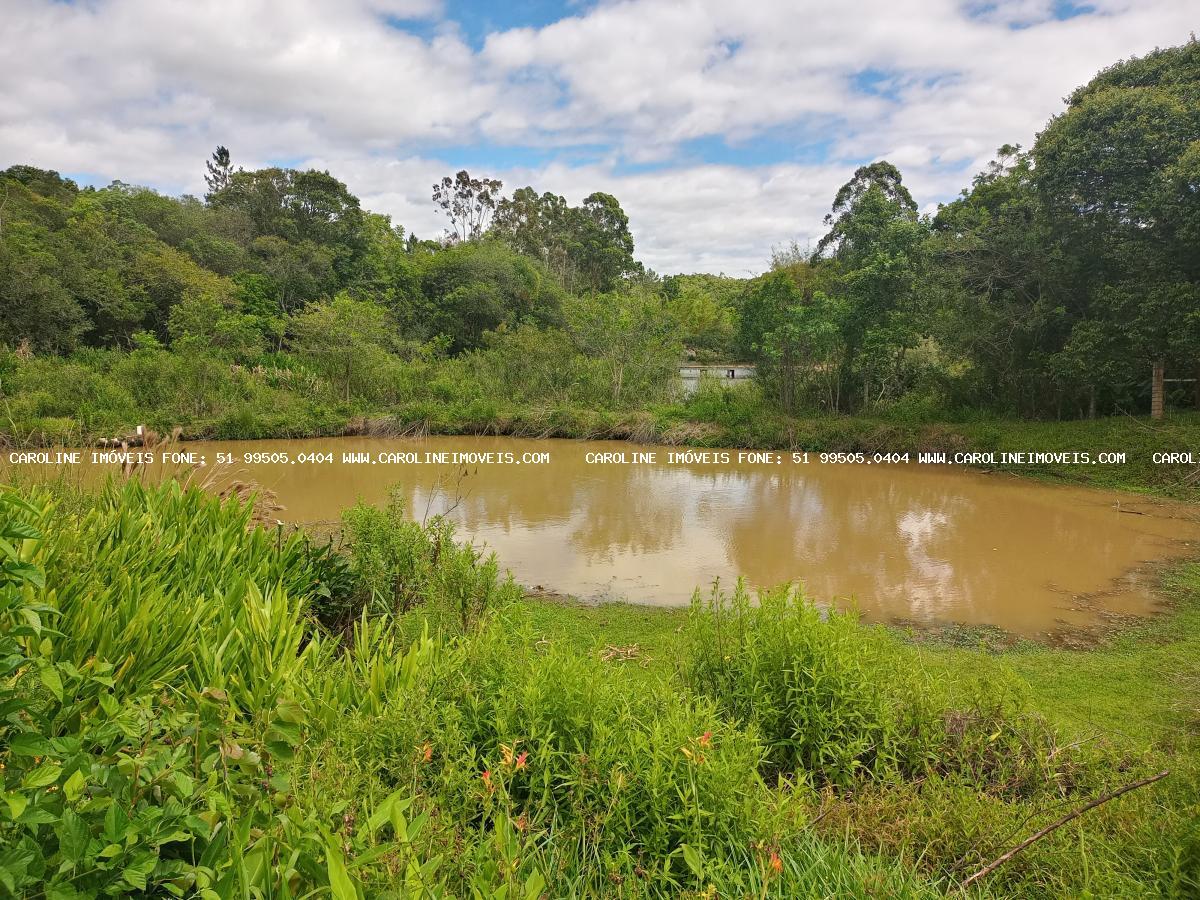 Chácara à venda com 3 quartos, 29000m² - Foto 9