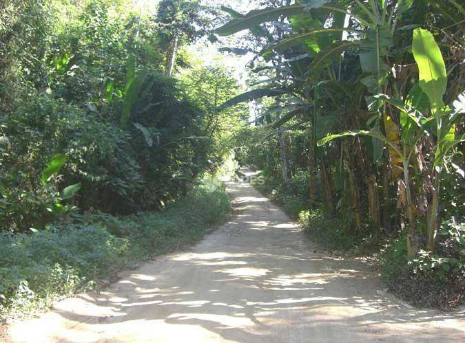 Terreno à venda, 167000M2 - Foto 2