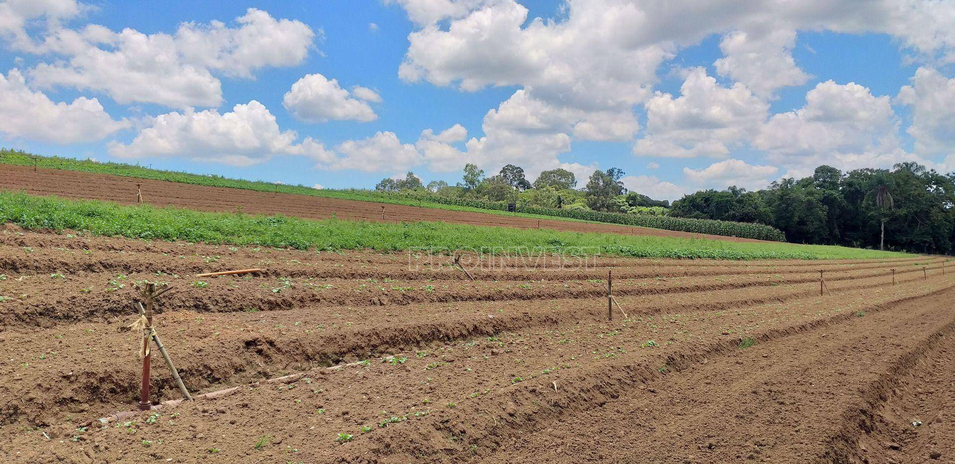 Terreno à venda, 822000M2 - Foto 17