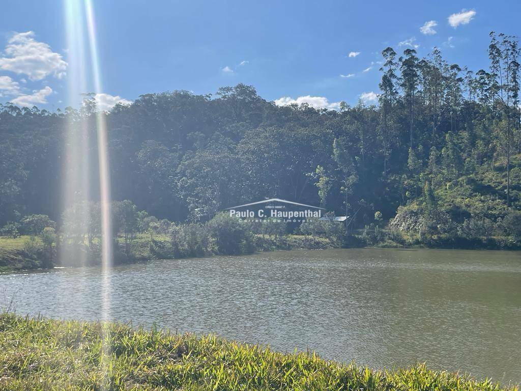 Fazenda-Sítio-Chácara, 98 hectares - Foto 1