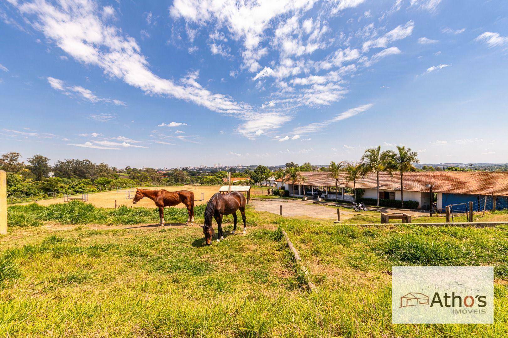 Haras e Área Rural Padrão à venda, 20140M2 - Foto 11