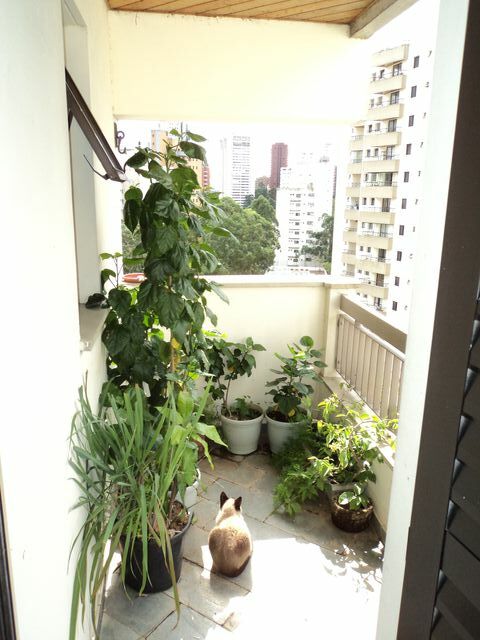 Apartamento, 4 quartos, 424 m² - Foto 2